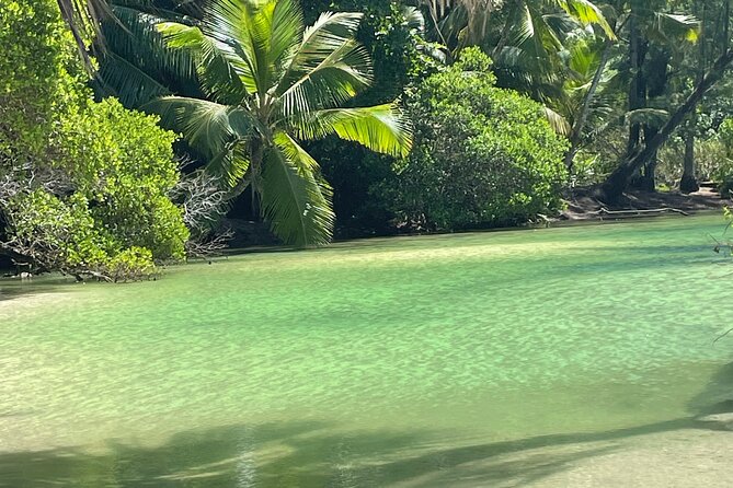 5 Hour Private Customize Tour of Mahe, Seychelles - Victoria Market: begin with everyday Seychelles