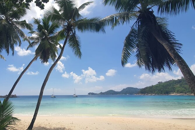 5 Hour Private Customize Tour of Mahe, Seychelles - Takamaka Rum Distillery: a taste of island production