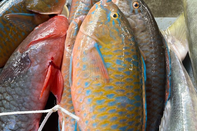 5 Hour Private Customize Tour of Mahe, Seychelles - Le Jardin Du Roi: spices, gardens, and homemade ice cream