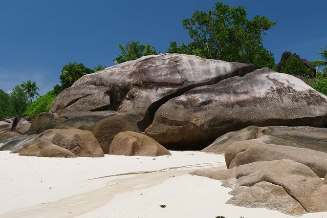 Beaches, swimming & snorkeling | Mahe, Seychelles | Private Tour - Anse à la Mouche is for sitting, not swimming