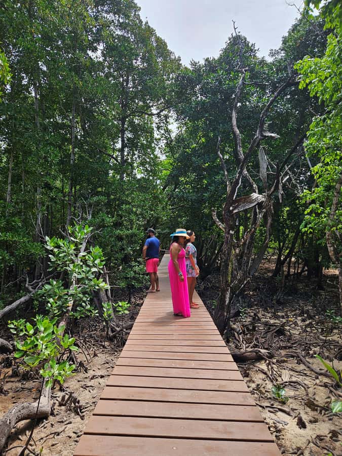 "Curieuse and St-Pierre Island Adventure: with Creole, BBQ - Why this Curieuse and St. Pierre combination works