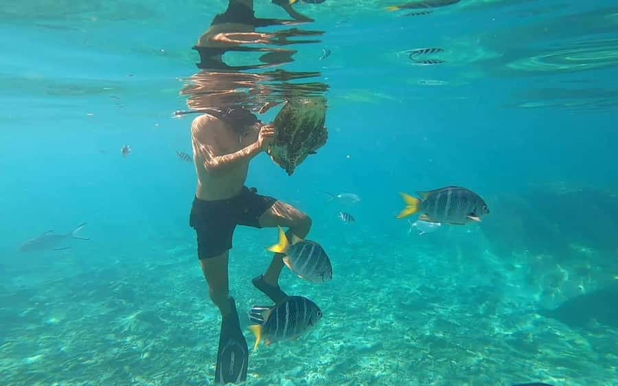 "Curieuse and St-Pierre Island Adventure: with Creole, BBQ - A Creole BBQ at Anse José