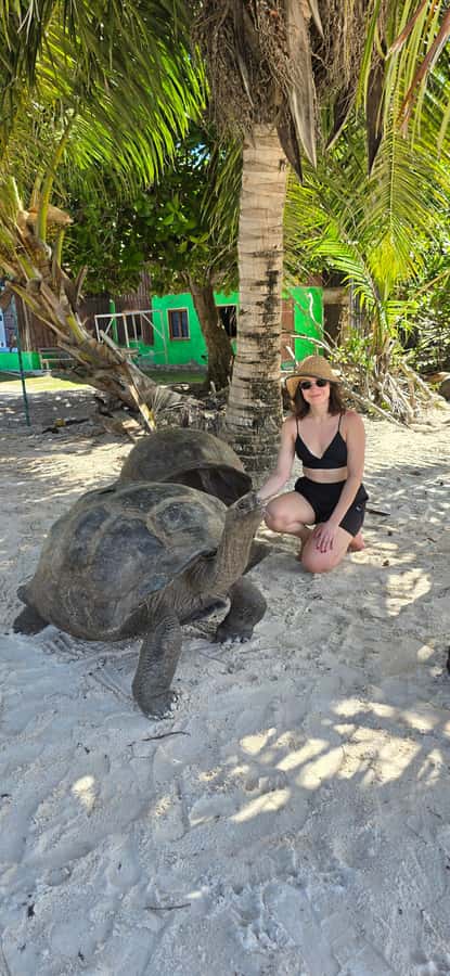 Curieuse and St. Pierre Islands Day Trip with BBQ Lunch - Key points to know before you book