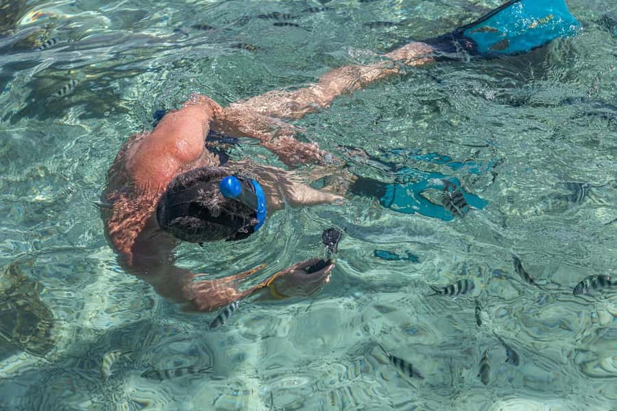 Curieuse and St Pierre Snorkeling Half-Day Trip No BBQ Lunch - Key points at a glance