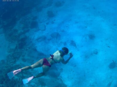 Curieuse and St Pierre Snorkeling Half-Day Trip No BBQ Lunch
