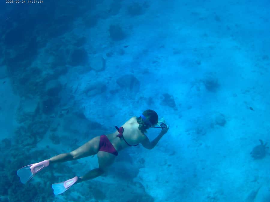 Curieuse and St Pierre Snorkeling Half-Day Trip No BBQ Lunch - The boat ride from Praslin to Curieuse