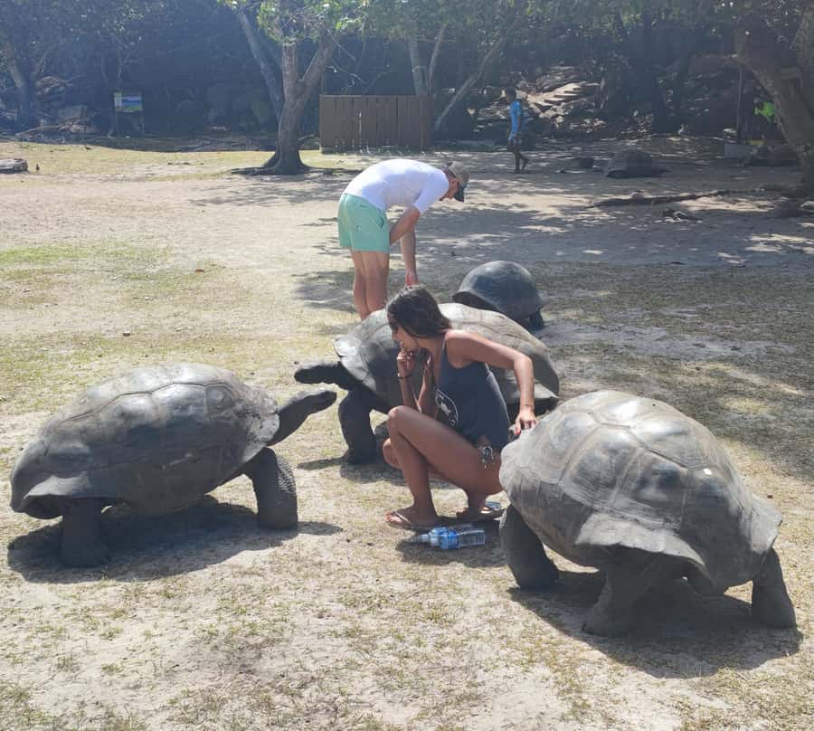 Curieuse Guided Tour, St Pierre, BBQ & 2 Snorkel Stops - Why Curieuse is worth a full day from Praslin