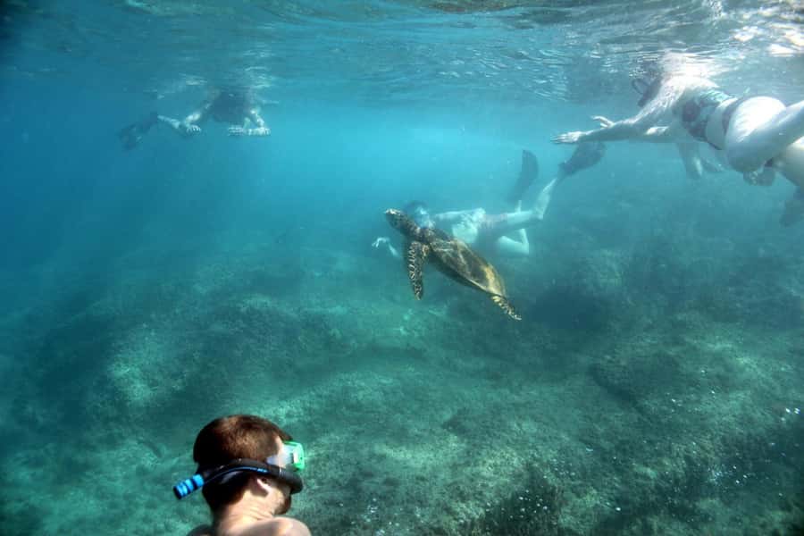 Curieuse Guided Tour, St Pierre, BBQ & 2 Snorkel Stops - First snorkeling stop: start with the sea