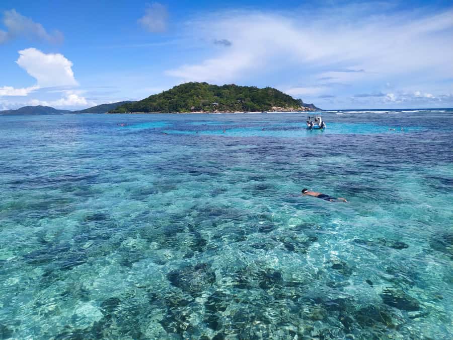 Curieuse Guided Tour, St Pierre, BBQ & 2 Snorkel Stops - Creole BBQ lunch with local drinks