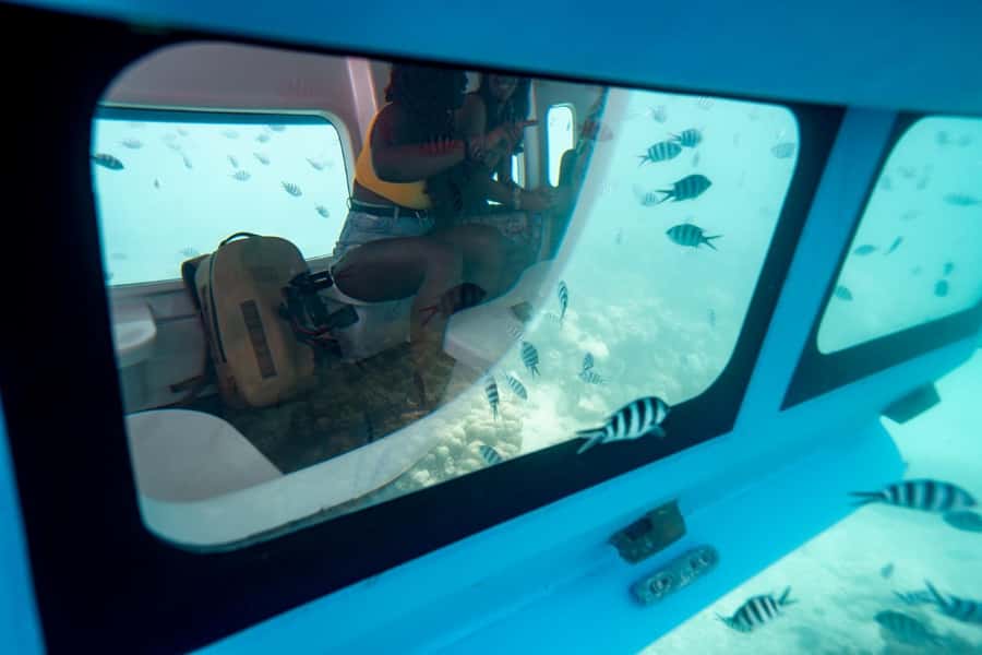 Eden Island: Semi-Submarine Tour in St. Anne Marine Park - The air-conditioned cabin is the main event