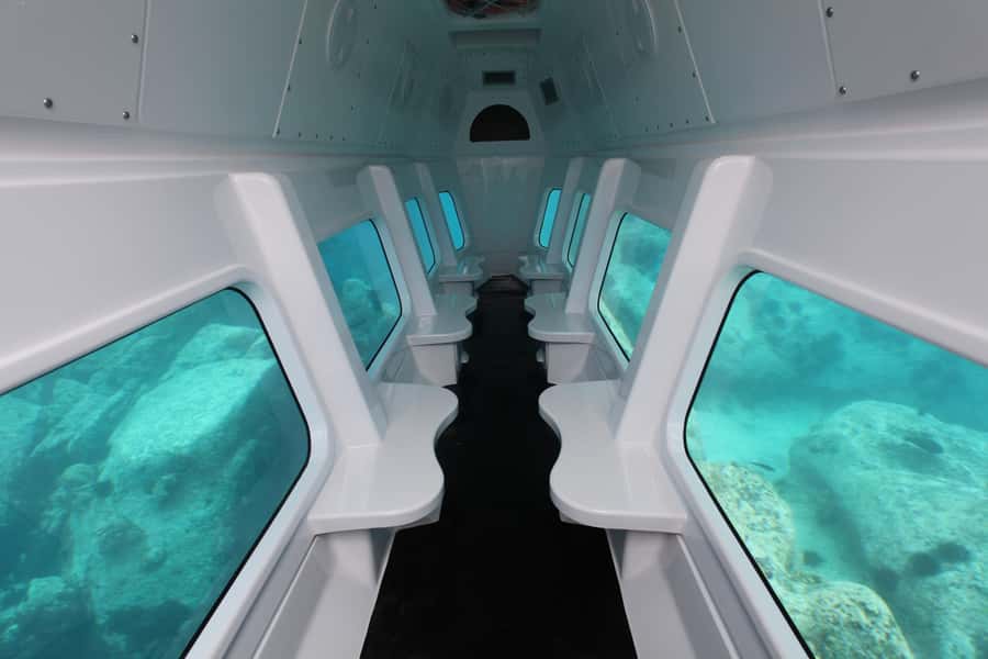 Eden Island: Semi-Submarine Tour in St. Anne Marine Park - What you may see below the surface