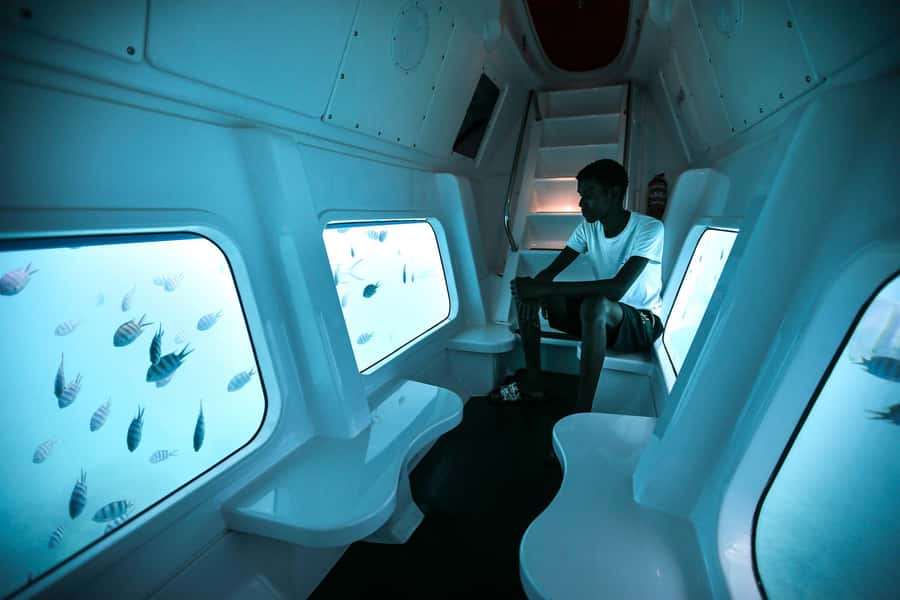 Eden Island: Semi-Submarine Tour in St. Anne Marine Park - Timing your visit wisely