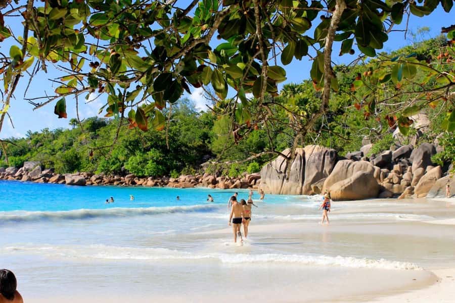 From Mahe eden island to Praslin & Ladigue Daytrip - Is $271 per person good value?