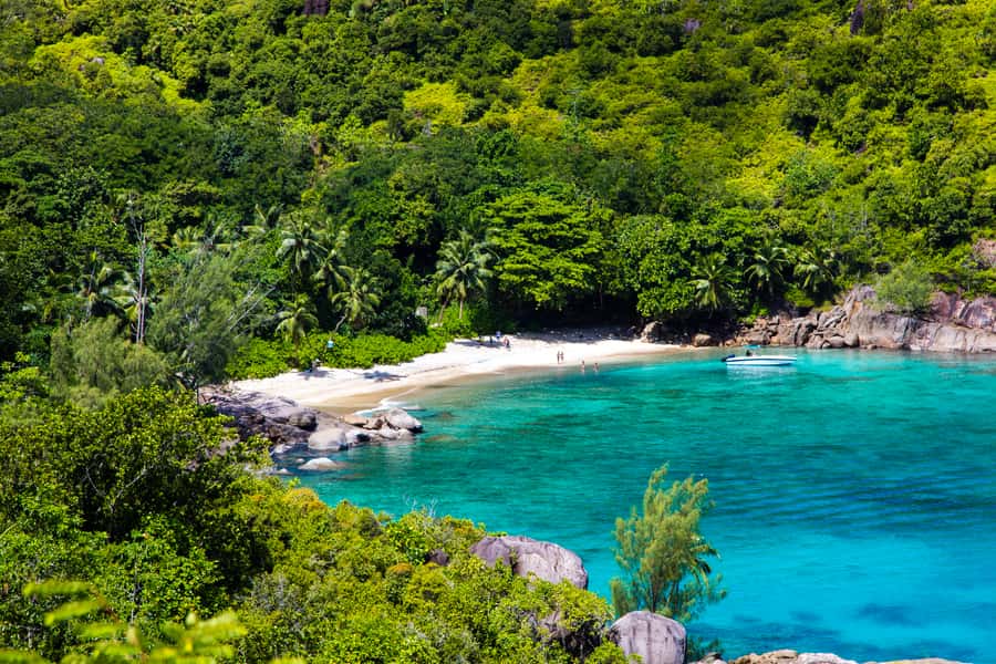 From Mahe: Guided Nature Trail Walk to Anse Major Beach - Who should choose this walk?