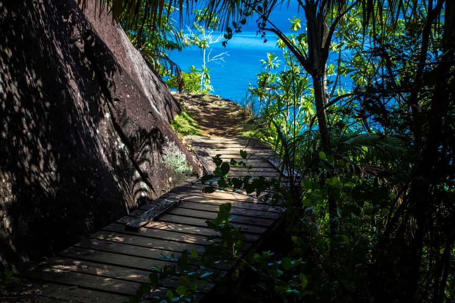 From Mahe: Guided Nature Trail Walk to Anse Major Beach - Practical packing advice for the trail