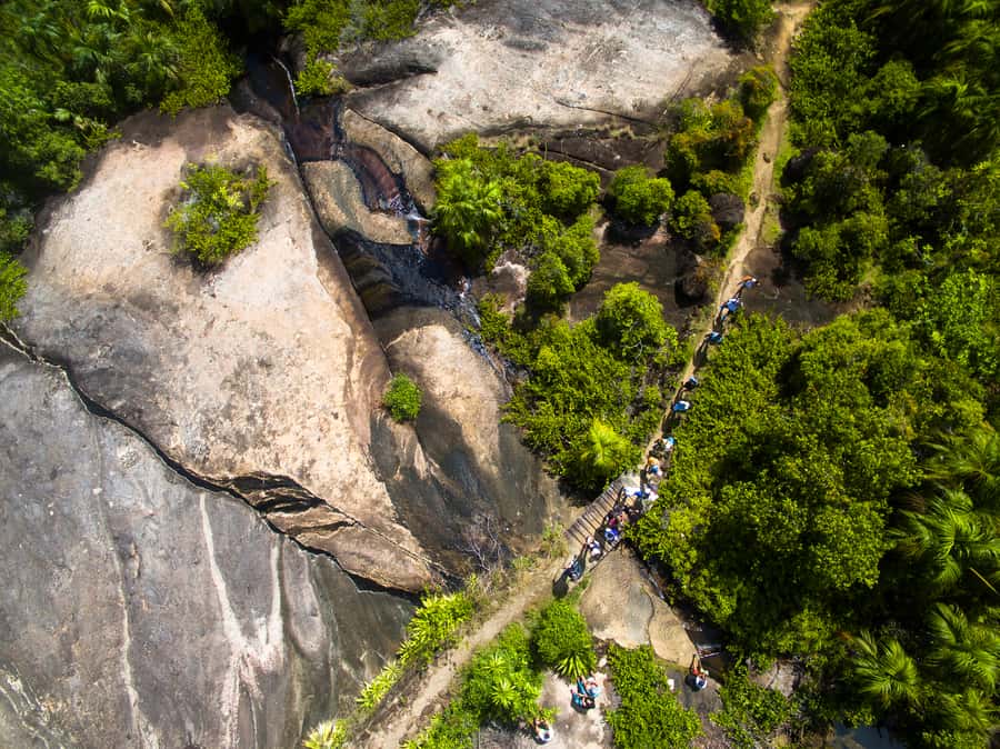 From Mahe: Guided Nature Trail Walk to Anse Major Beach - Walking through Glacis and its small valleys