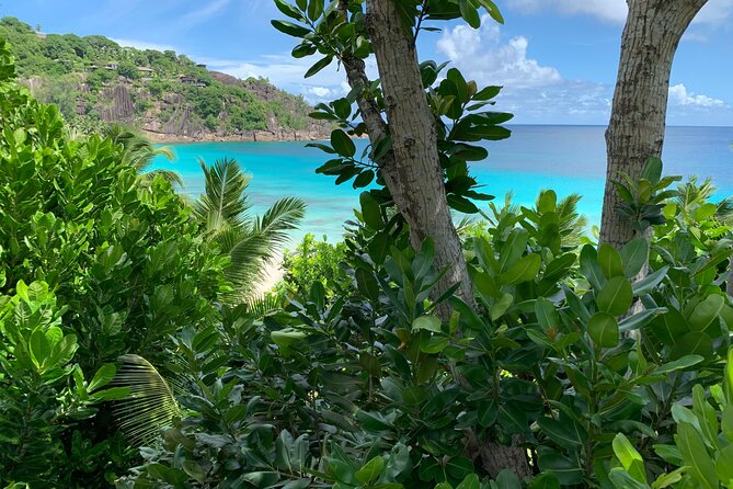 Full day (5-6 hours) island tour on Mahé with pick-up - Le Jardin Du Roi brings spices to the route