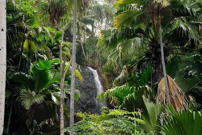Full Day Discovery Tour of Vallee de Mai and Anse Lazio on Praslin Island - Pickup, timing, and group size