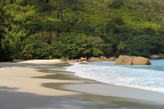 Full Day Discovery Tour of Vallee de Mai and Anse Lazio on Praslin Island - Who will get the most from this tour