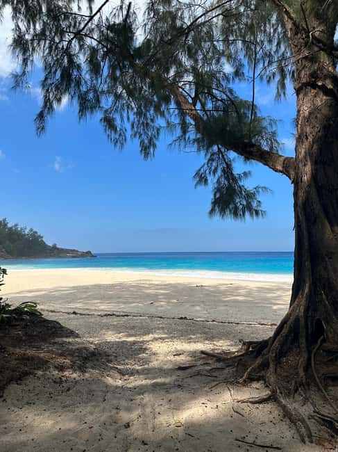 Full day Mahe Tour - What the private price really delivers