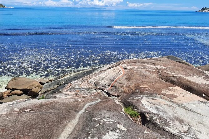 Full Day Reef Safari at St Anne Marine Park Seychelles - Why this seven-hour island day works