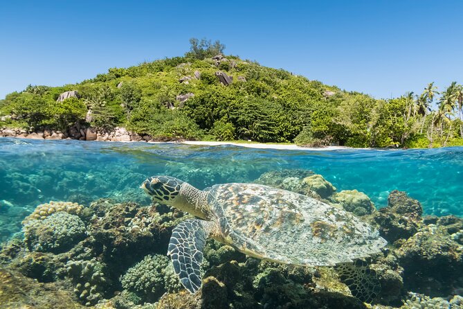 Full Day Reef Safari at St Anne Marine Park Seychelles - St. Anne Marine Park beneath the boat