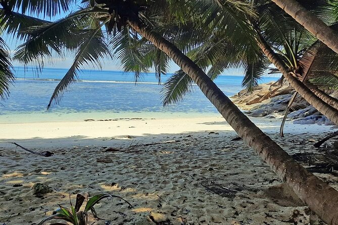Full Day Reef Safari at St Anne Marine Park Seychelles - Fish feeding and a close look at the reef
