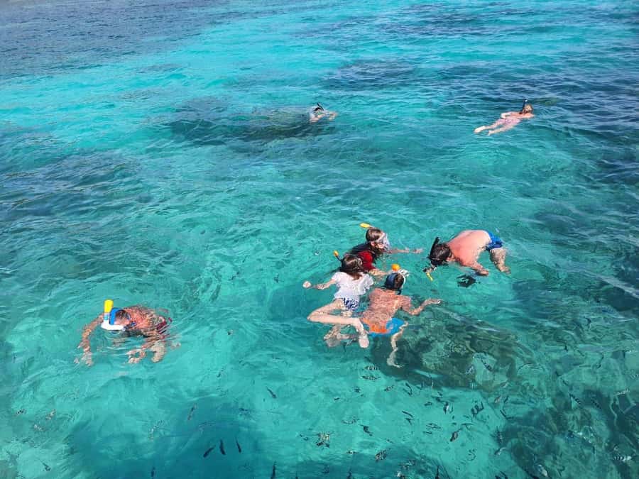 Glassbottom boat & Crystalkayak SteAnneMarinePark Snorkeling - Meeting the giant tortoises on Cerf Island