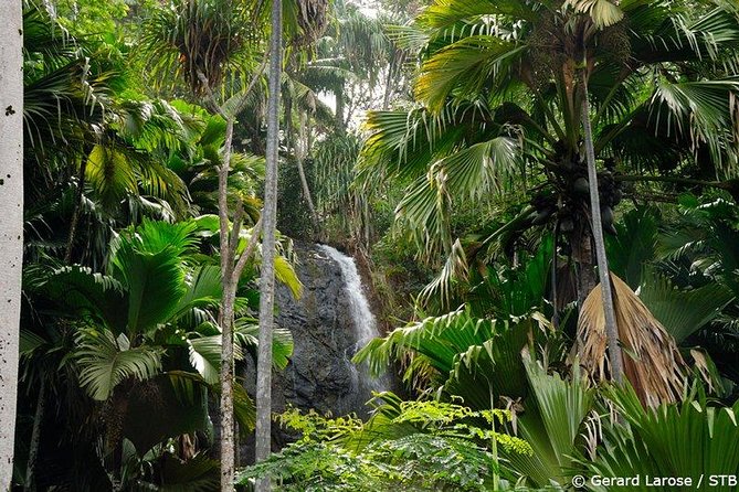 Half Day Discovery Tour of Vallee de Mai on Praslin Island - Why Vallée de Mai Deserves Half a Day