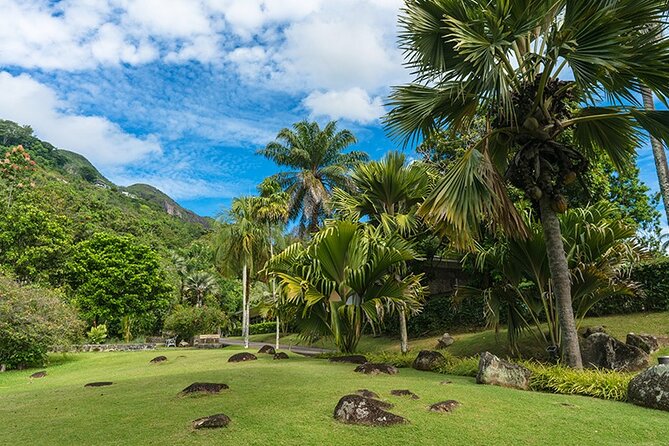 Half Day Discovery Tour of Victoria - Seychelles Capital on Mahe Island - What the $211.42 price really buys you