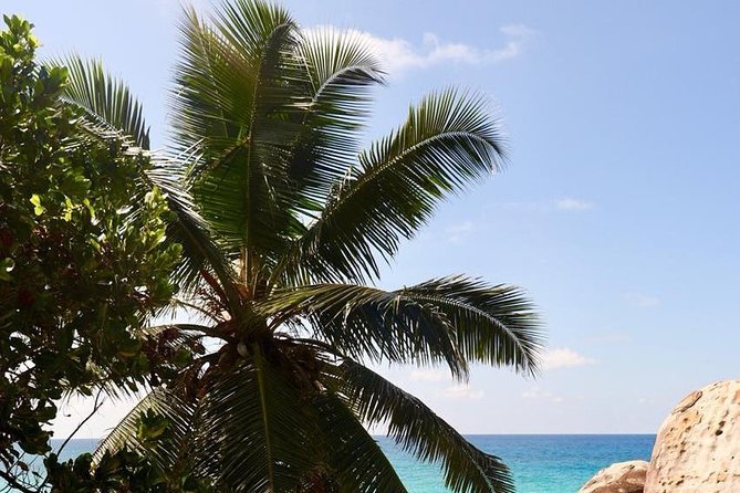 Half-Day Mahe private Tour - What the private format is really worth