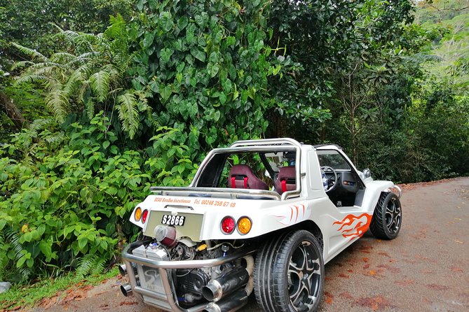 Island tour with the beach buggy - Five things to know before booking
