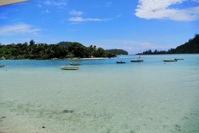 Island tour with the beach buggy - Beaches and off-route stops need clarification