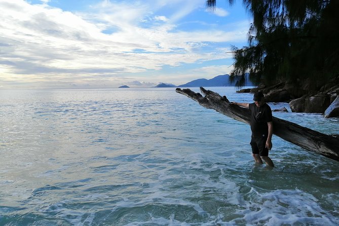 Island tour with the beach buggy - Food, plants, and the small details between stops