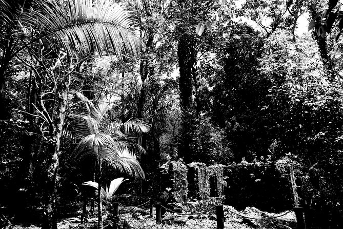 Island tour with the beach buggy - Sauzier Waterfall: bring swimwear