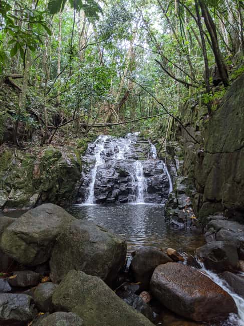 Jungle Adventure Hike:Climb, Waterfall, Discover Seychelles! - Key things to know before booking