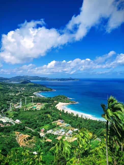 Jungle Adventure Hike:Climb, Waterfall, Discover Seychelles! - Climbing to the high viewpoint