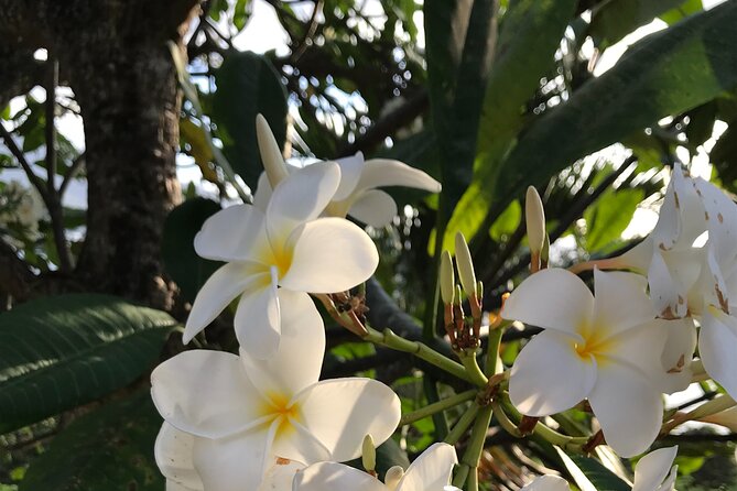 LGBTQIA, we look forward to seeing you | Island tour | Mahé | Seychelles - Victoria, with temples, clocks, and coastal views