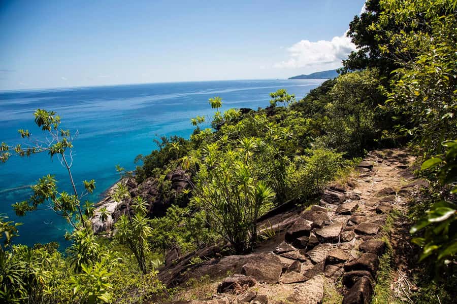 Mahé: Baie Ternay Park Catamaran Cruise with BBQ Lunch - Who will enjoy this cruise most?