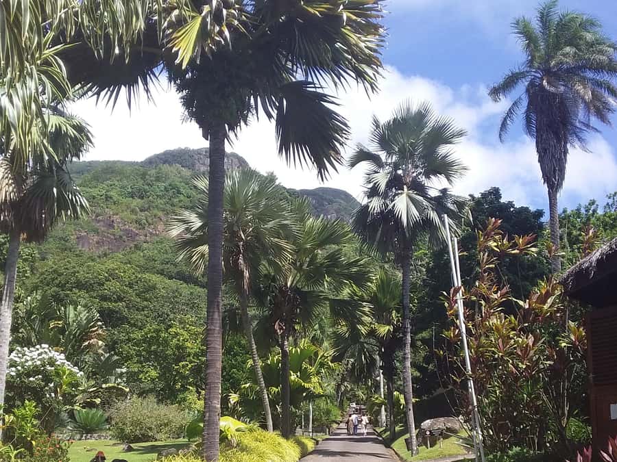 Mahé: Customizable Private Tour of Island with Driver - What the guides add to the day