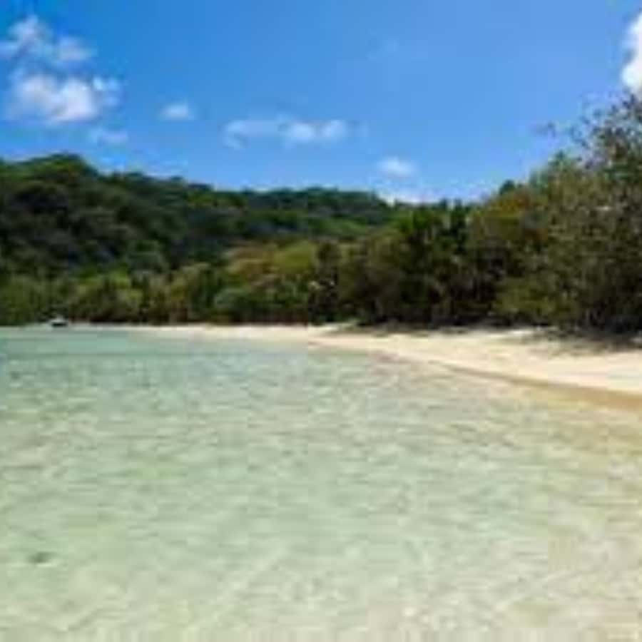 Mahe Discovery Bus Tour - Quick facts about the Mahe Discovery Bus Tour