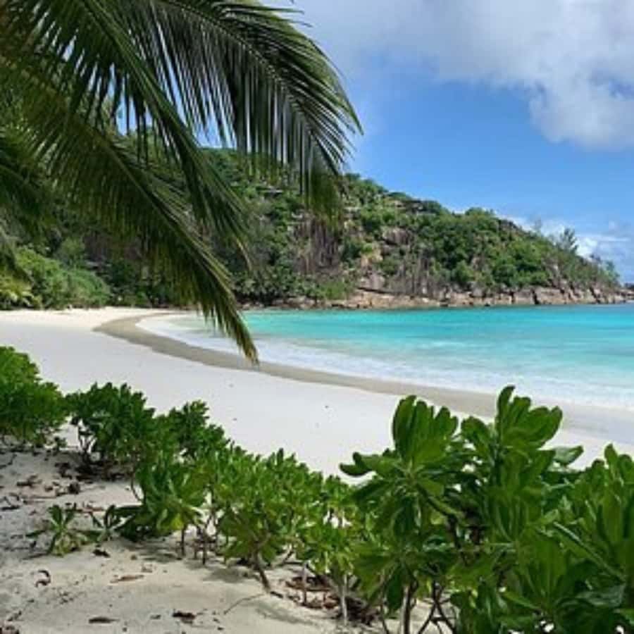 Mahe Discovery Bus Tour - What the four-hour schedule really means