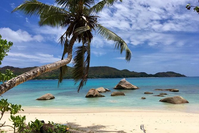 Mahe half day tour - Building your own route after the market
