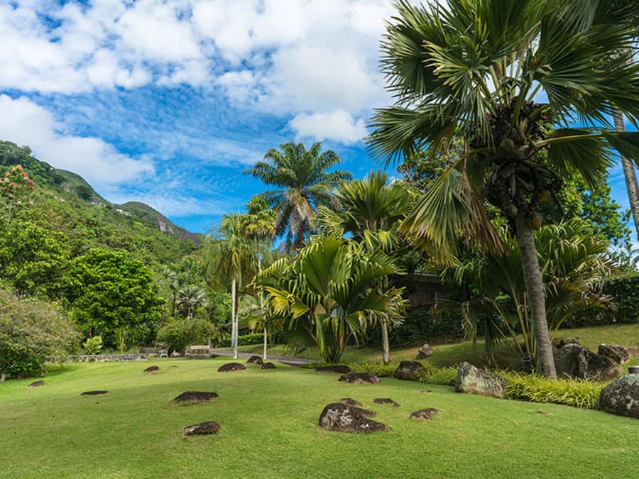 Mahé Island: Island Highlights Guided Day Trip with Lunch - Why this Mahé tour works well for a first full day