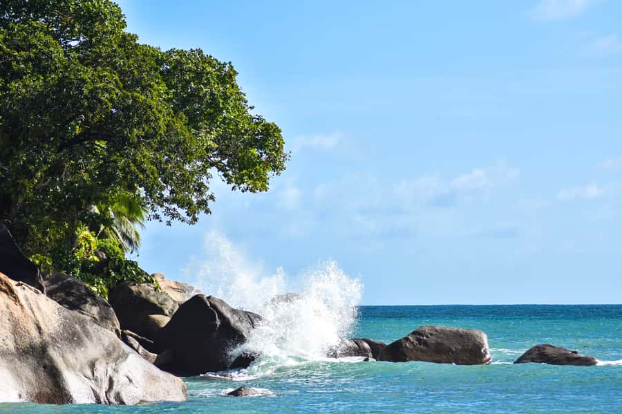 Mahe Island: Private Mahe Island Tour - Why a private Mahé tour makes sense