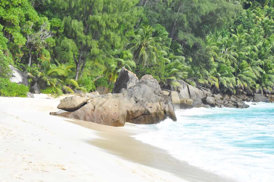 Mahe Island: Private Mahe Island Tour - Tea factory and rum distillery stops