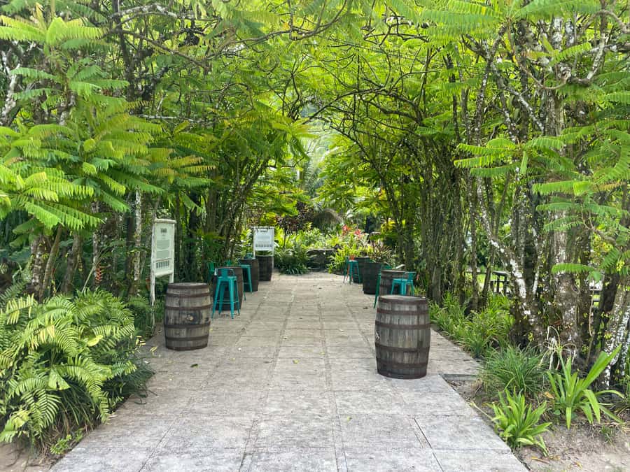 Mahe Island: Private Mahe Island Tour - Food and drinks, with extra costs in mind
