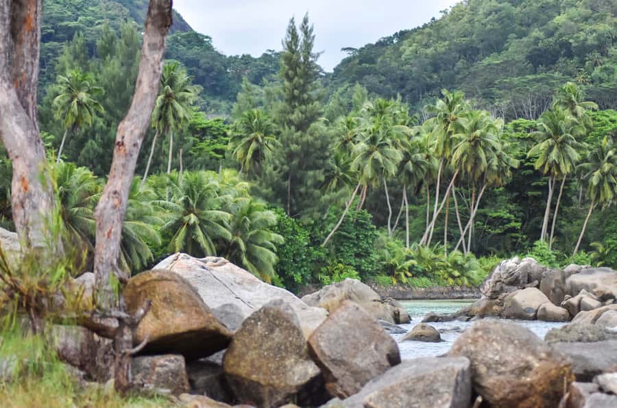 Mahe Island: Private Mahe Island Tour - The guide can shape the whole day