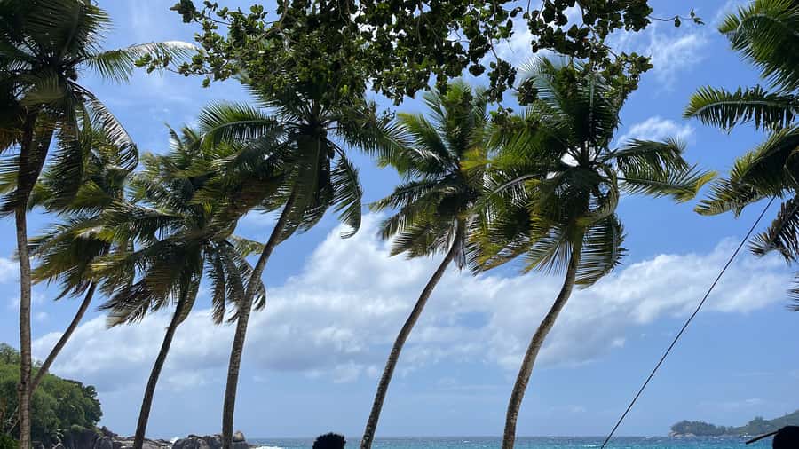Mahe Island: Private Mahe Island Tour - Four hours or eight hours on the island?
