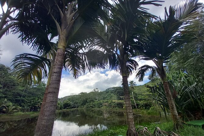 Mahe island Seychelles , unforgettable & adventurous tour - Why a private Mahé tour makes sense